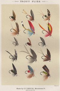 ANTIQUE PRINT OF FISHING FLIES FROM 1892